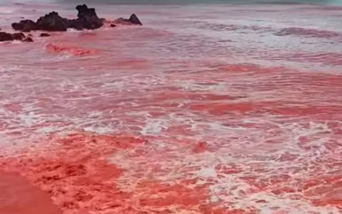 Bãi biển hóa thành màu đỏ như máu sau cơn mưa kì lạ, cảnh tượng gây hoang mang