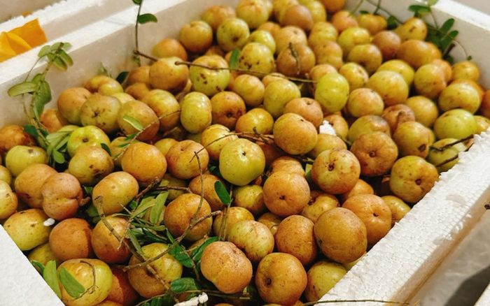 Loại quả 'khổ tận cam lai' mọc dại nơi rừng núi, nay trở thành đặc sản được nhiều người săn lùng khi xuống phố.