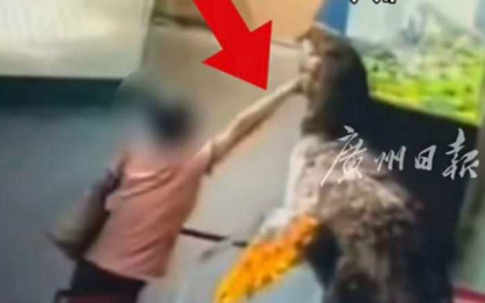 Thò tay vào miệng mô hình khủng long trong bảo tàng, nam du khách nhận cái kết không ai ngờ tới