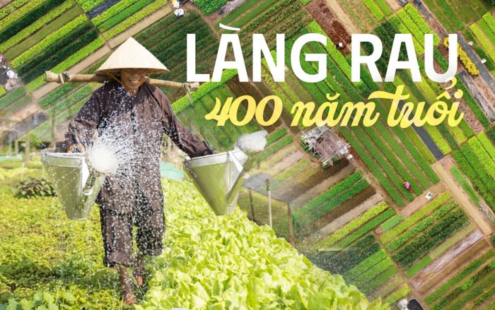 Làng rau 400 năm tuổi của Việt Nam