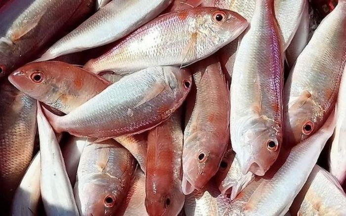 Chuyên gia cảnh báo 3 bộ phận của cá chứa nhiều độc tố hậu quả khó lường, ngon mấy cũng không ăn