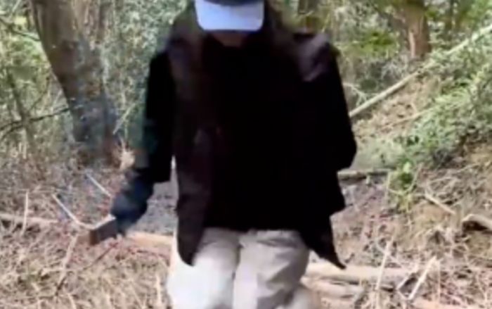 Vô tư nhún nhảy trên nền đất mềm giữa rừng, cô gái hoảng hồn khi phát hiện sự thật