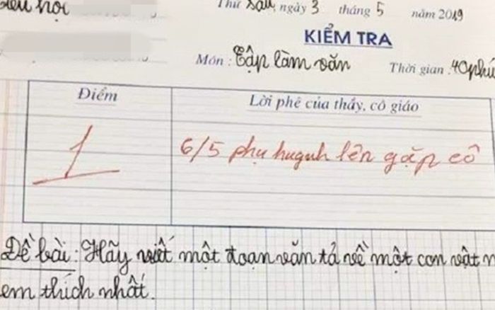 Học trò viết bài văn bày tỏ tình cảm với chú chó, cô chấm 1 điểm còn mời cả phụ huynh lên gặp