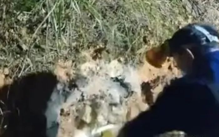 Người đàn ông bị rắn cạp nong cắn khi livestream bắt rắn, mất tích rồi trở về nhà đầy kỳ lạ