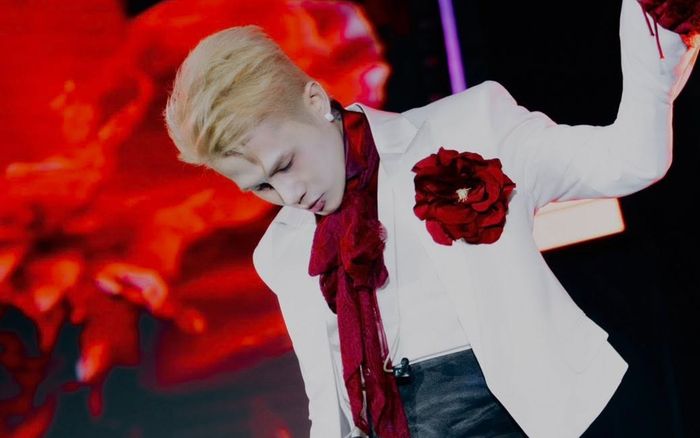 Jack xin lỗi, thông báo tạm dừng hoạt động