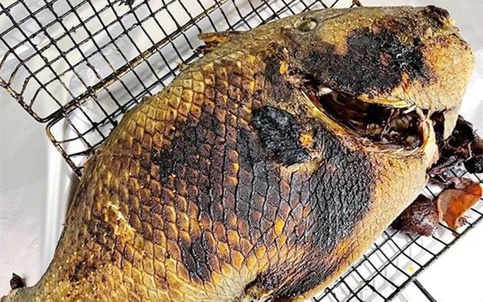 2 loại cá với hình dáng lạ mắt, đi chợ mà thấy phải mua ngay lập tức