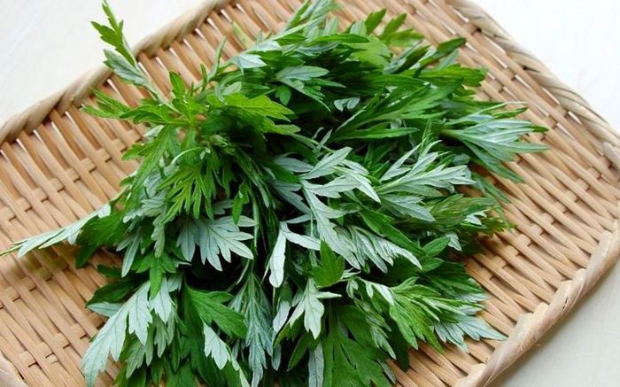 Loại lá được ví như 'thuốc trường thọ 100 tuổi', chợ Việt bán đầy chỉ vài nghìn