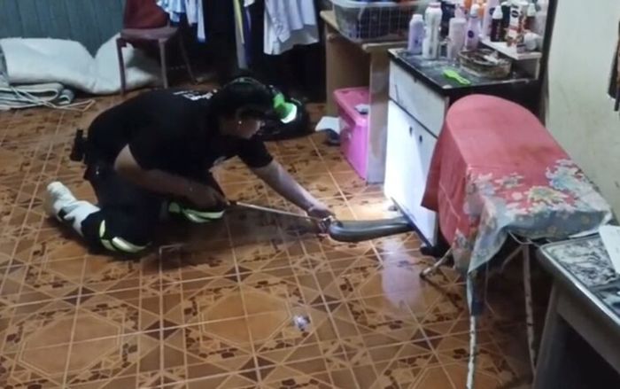 Thấy con mèo nhìn chằm chằm dưới gầm kệ, chủ nhà cúi xuống kiểm tra thì phát hiện cảnh tượng kinh hoàng