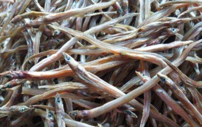 Loại cá nhỏ như chiếc đũa là đặc sản miền Tây, phơi khô ăn mê tít, được dân sành ăn săn lùng