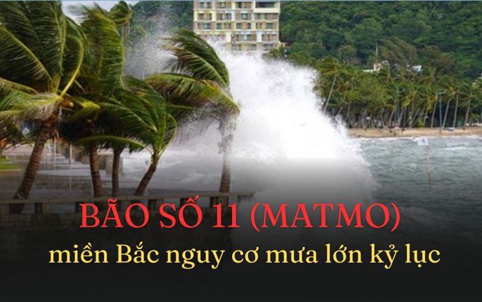 Bão số 11 đổ bộ, đất liền Quảng Ninh – Ninh Bình đối mặt gió giật cấp 10