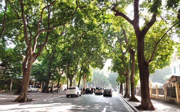 Diễn biến thời tiết các vùng trước bão số 11