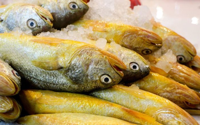 3 loại cá giàu dinh dưỡng ví như báu vật dưới nước, càng ăn càng khỏe, đi chợ gặp mua ngay