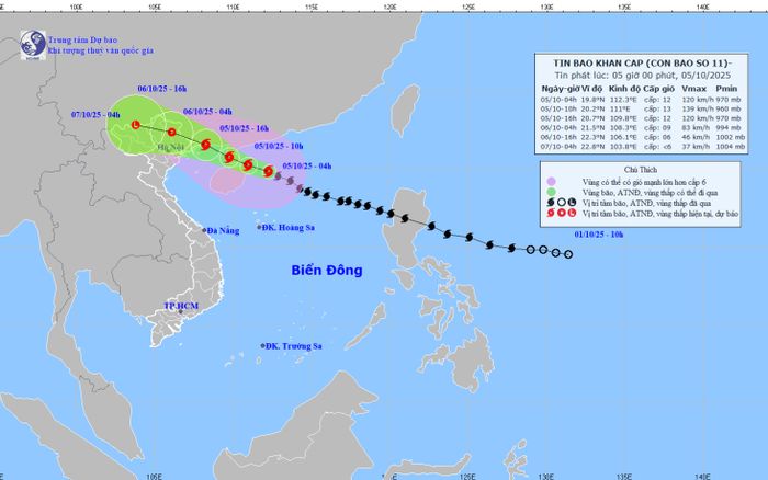 Bão số 11 (Matmo) đang hoành hành ra sao?