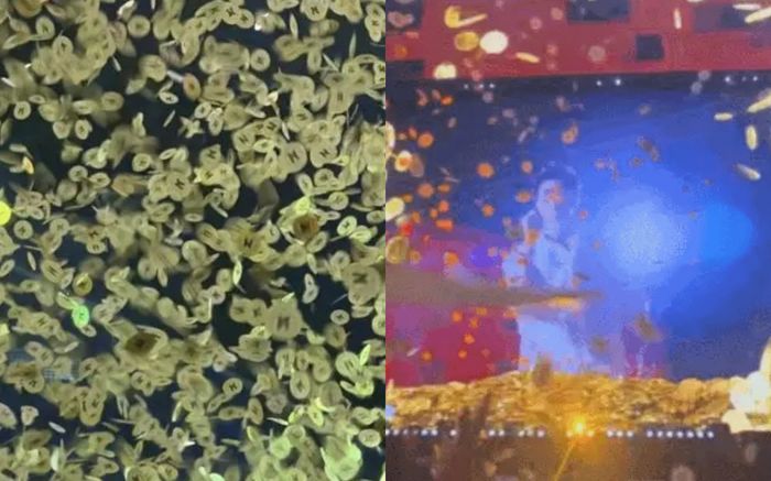 Nam ca sĩ rải cơn mưa 'vàng mã' tại đêm diễn, hành động gây sốc khiến cộng đồng mạng chỉ trích