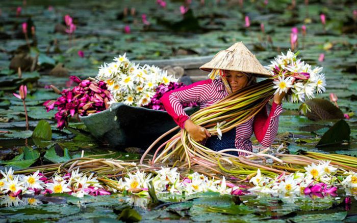 Đặc sản mùa nước nổi miền Tây khiến dân thành phố 'phát thèm'