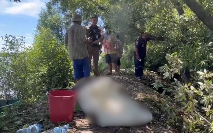 Cắt tỉa cành cây, người đàn ông 39 tuổi tử vong sau khi bị kiến cắn