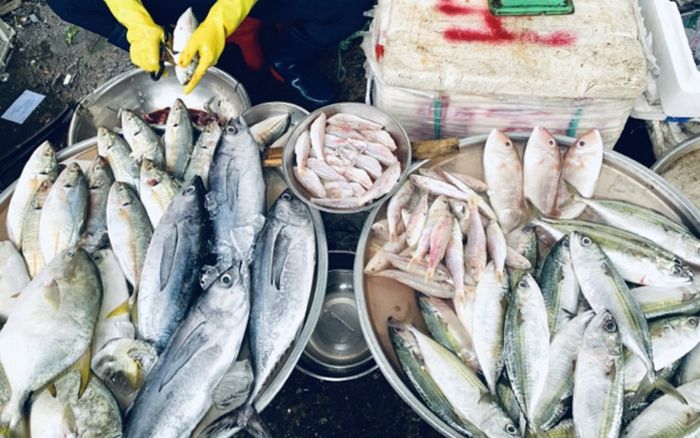 3 loại cá nhìn tưởng ngon nhưng độc hại không ngờ, rẻ mấy cũng không mua