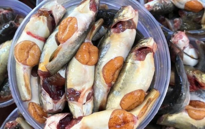 Loại cá đồng là đặc sản miền Tây, bụng đầy trứng ăn béo mà chả ngán, mỗi năm có đúng 1 mùa