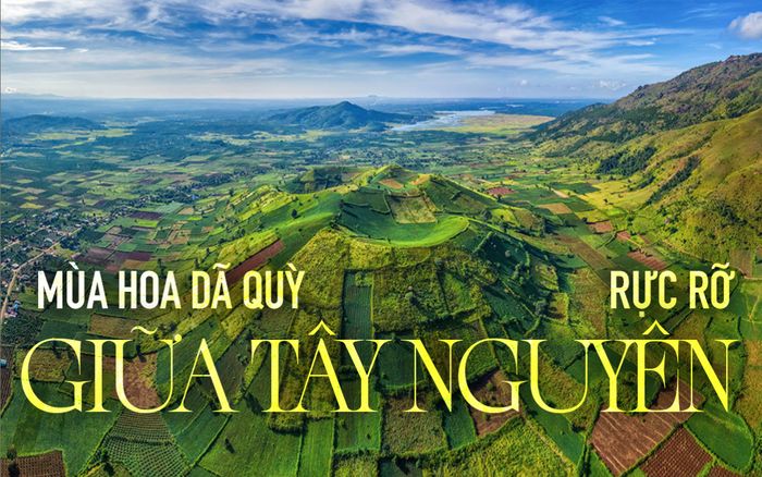 Chư Đăng Ya - Mùa hoa dã quỳ rực rỡ giữa Tây Nguyên
