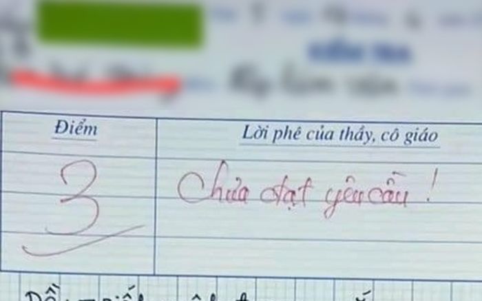 Bài văn bị chấm 3 điểm gây bão, cô phê 'chưa đạt yêu cầu' nhưng dân mạng không đồng tình