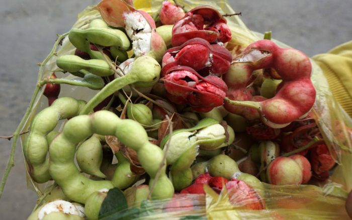 Đặc sản mọc dại, không ai bán nhưng người miền Tây nhìn là biết ngay, hương vị tuổi thơ khó quên