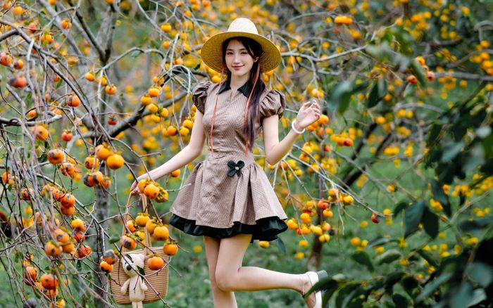 Mộc Châu mùa hồng chín