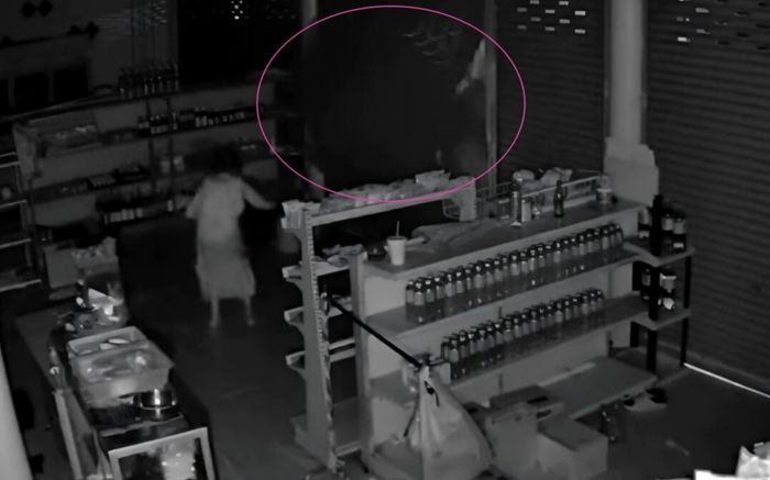 'Vị khách không mời' khổng lồ xông vào cửa hàng lúc nửa đêm, người phụ nữ hoảng sợ nhưng không thể làm gì