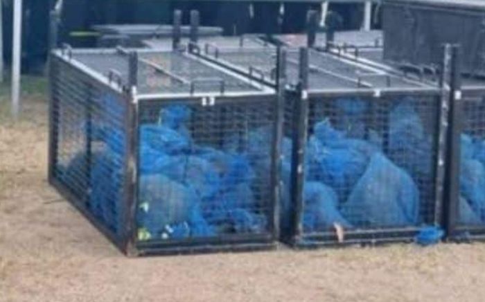 Triệt phá đường dây buôn lậu, giải cứu 143 sinh vật bị nhốt trong túi