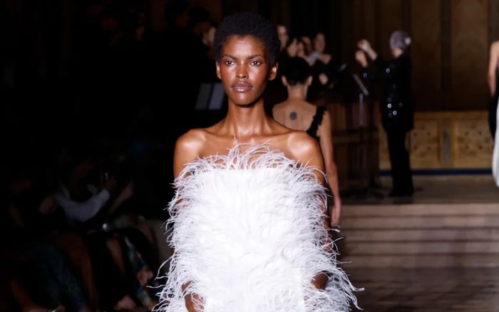 Thiết kế lông vũ đang trở thành xu hướng