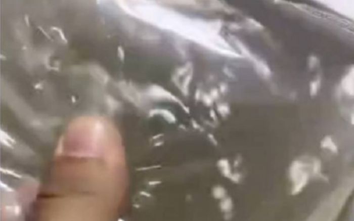 Mua 50 con cá cảnh trên mạng, người đàn ông sửng sốt khi mở gói hàng