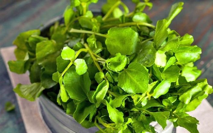 Loại rau ở Việt Nam được thế giới chấm 100 điểm về dinh dưỡng, chợ bán rẻ bèo