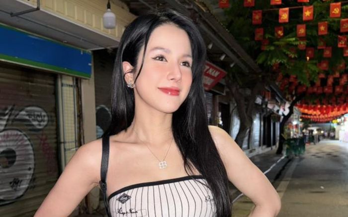 Nồi nấu chậm hơn 1 triệu của Diệp Lâm Anh