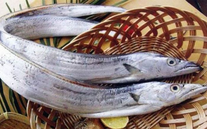 Loại cá biển tốt cho sức khỏe tim mạch và trí nhớ, ở Việt Nam rẻ bèo mà ít người biết để ăn