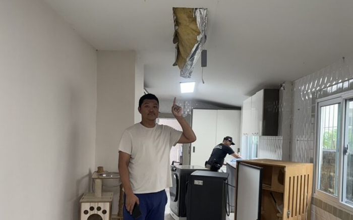 Con 'quái vật' bất ngờ đánh thủng trần nhà, nuốt chửng con mèo khiến chủ nhà sửng sốt