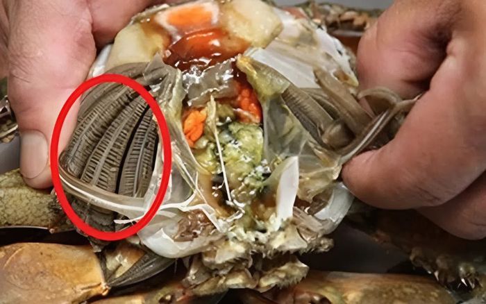 Chuyên gia cảnh báo 4 bộ phận của cua biển không ăn, dễ gây hại sức khỏe