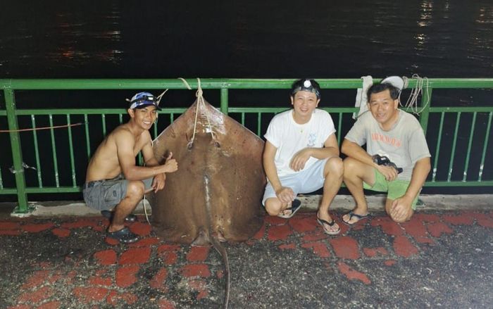 Rủ nhau đi câu, 3 thanh niên bắt được con cá đuối 'quái vật', trọng lượng gây choáng