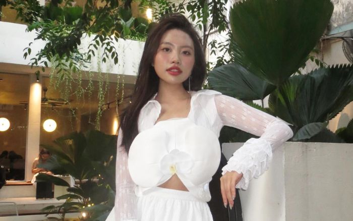 Tranh cãi về chiếc quần đi diễn kỳ quặc của Phương Mỹ Chi