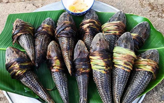 Loại cá bị chê vì vẻ ngoài gây khiếp sợ, nay là đặc sản miền Tây vì thịt mềm, nướng muối ớt ăn ghiền