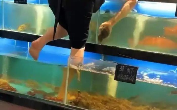 Nhân viên bước chân trần vào bể hải sản của siêu thị để vệ sinh, mạng xã hội 'dậy sóng'