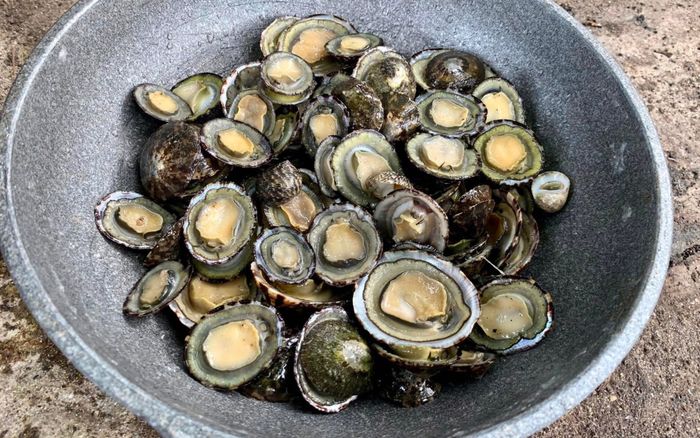 Món đặc sản Việt có tên gây ngượng đỏ mặt, ăn giòn sần sật, ngon không kém bào ngư