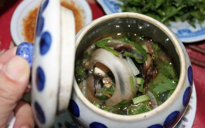 Món đặc sản miền Trung bị chê tanh, nhiều người rùng mình khi vừa thấy nhưng ăn thử là nghiện mê