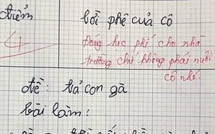 Bài văn tả con gà bị chấm điểm 3, cô giáo vội đính chính một điều