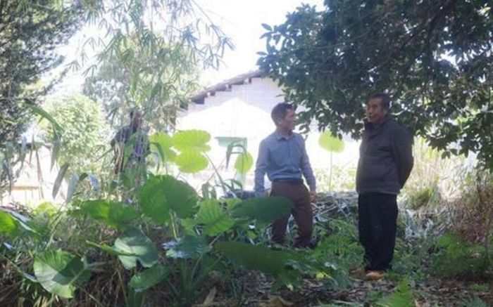 Đào giun đất để câu cá, người đàn ông tìm thấy kho báu lịch sử