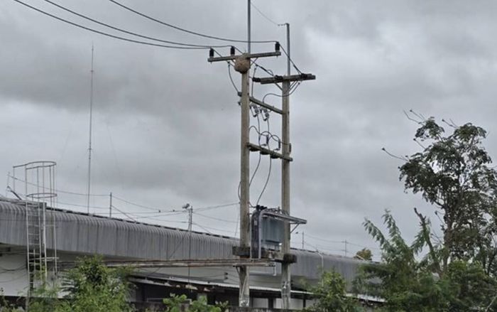 Nam thanh niên trèo lên cột điện lấy tổ ong về làm mồi nhậu, sự việc sau đó khiến nhiều người bàng hoàng