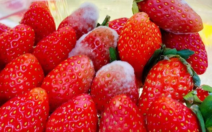 Chuyên gia Mỹ cảnh báo 3 loại thực phẩm làm tăng nguy cơ ung thư, bỏ ngay đừng tiếc