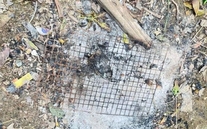 Ăn trứng thằn lằn, người đàn ông 34 tuổi qua đời ngay sau đó