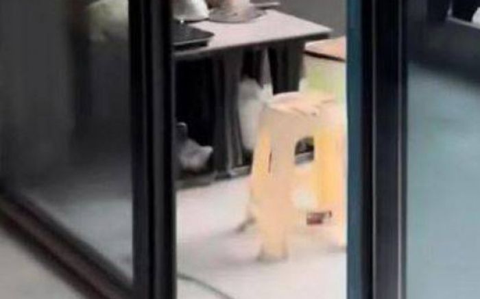 Chi hơn 3 tỷ đồng để mua nhà, người phụ nữ choáng váng khi vào kiểm tra