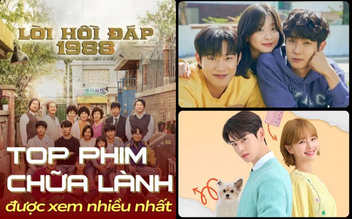 Top phim chữa lành được xem nhiều nhất