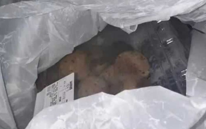 Mua bánh tại siêu thị nổi tiếng, khách hàng sốc nặng sau khi mở hộp