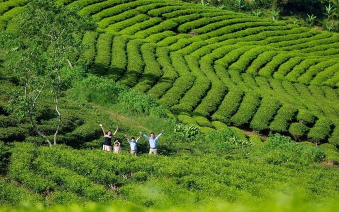 Những địa điểm nức tiếng ở Đà Lạt nên ghé trong dịp Tết Dương lịch 2026